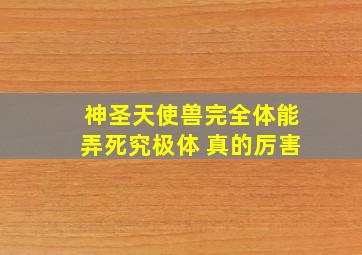 神圣天使兽完全体能弄死究极体 真的厉害